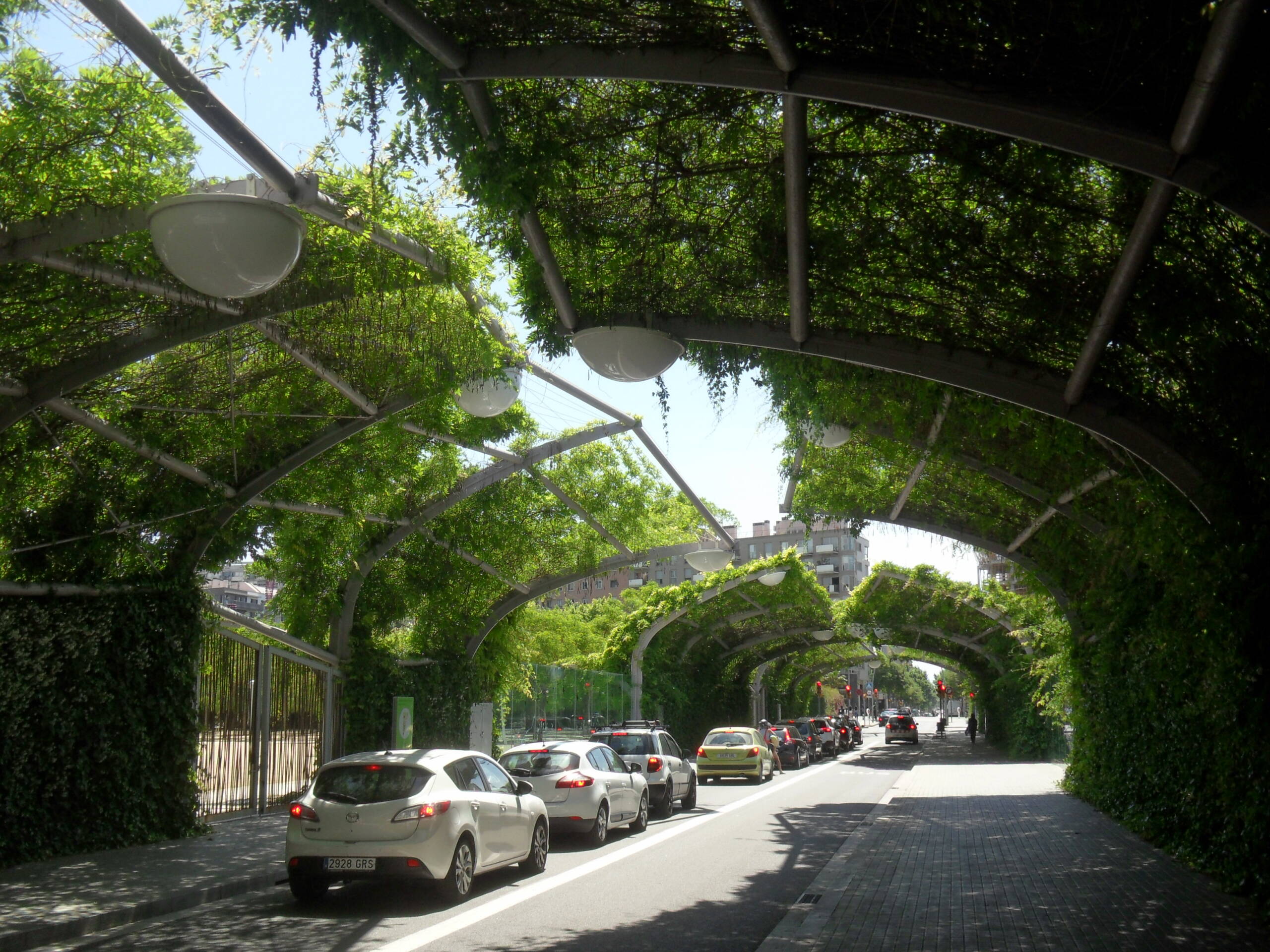 Regenerative Cities. A new trajectory for city development