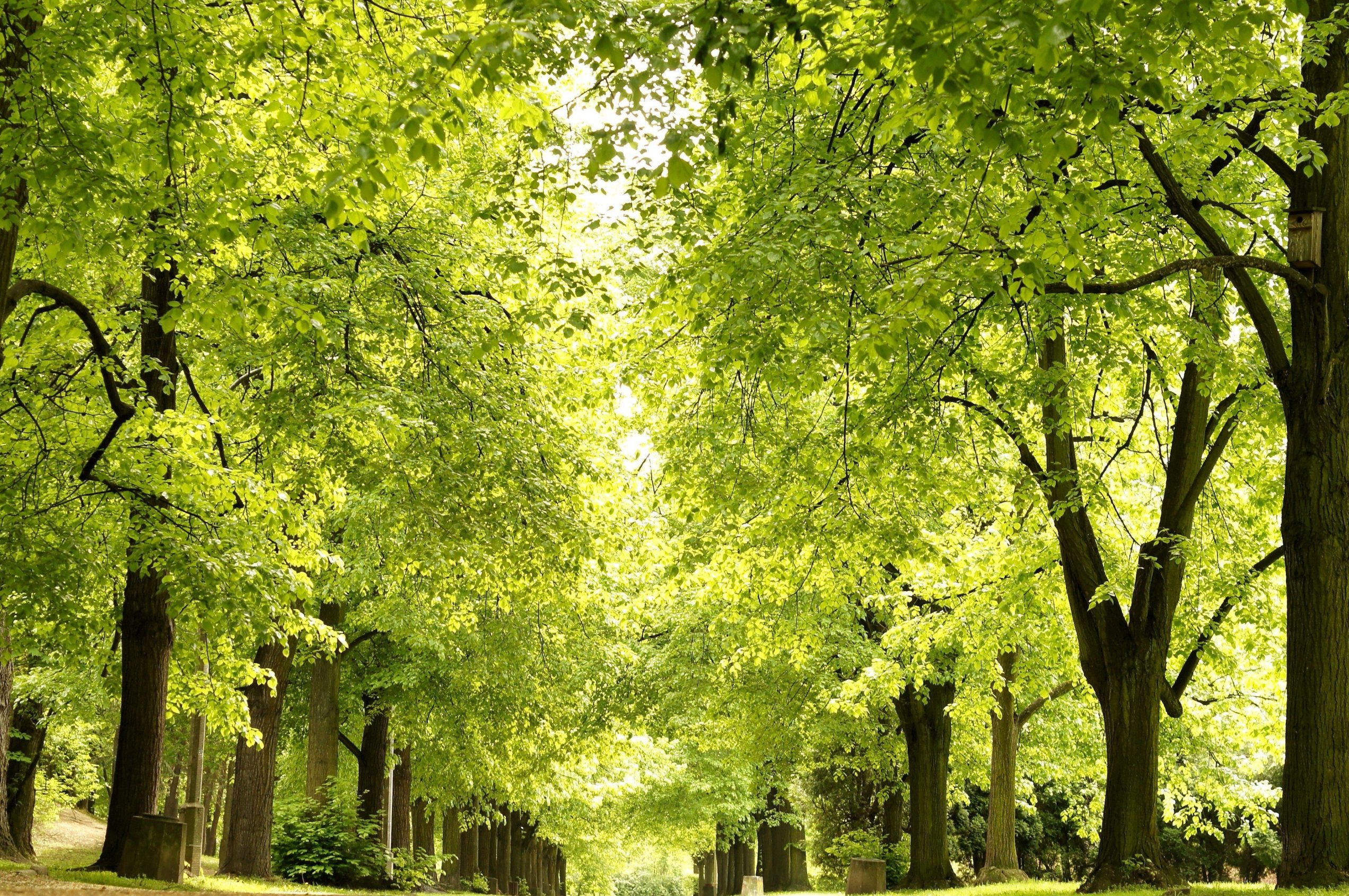 Cities friendly to live in